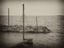 Piren sepia
